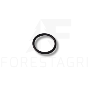 O-Ring – F021688 (Ersatzteil)