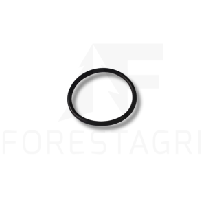 O-Ring - F054540