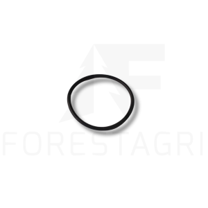 O-Ring - F056045