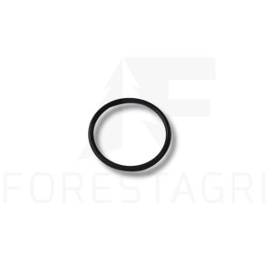 O-Ring - F061271