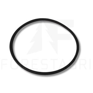 O-Ring- F062126