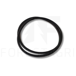 O-Ring – F064192 (Ersatzteil)