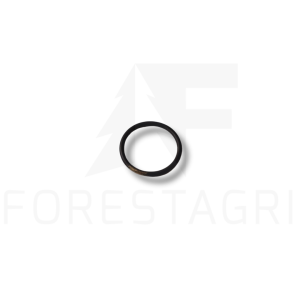 O-Ring – R98805, F010961, T149316