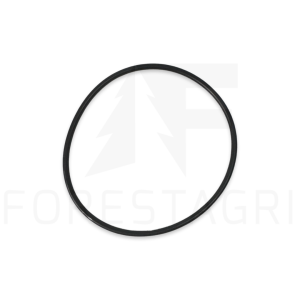 O-Ring – F010631, R41987 (Ersatzteil)