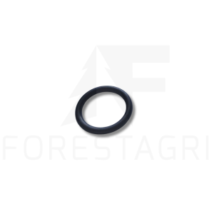 O-Ring - F030972, F004568