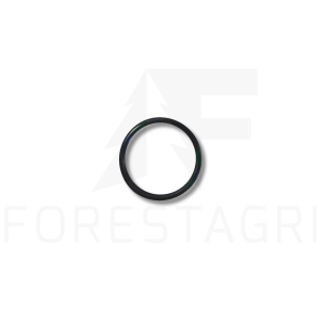 O-Ring – F003762 T78393