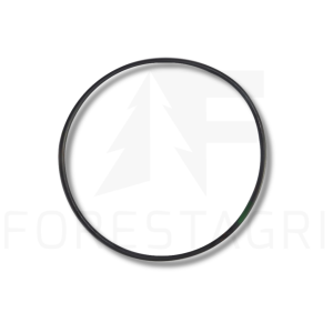 O-Ring – F057303 (Ersatzteil)