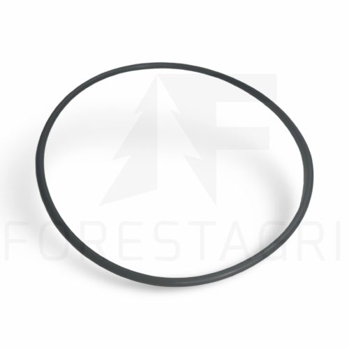 O-RING - F047701