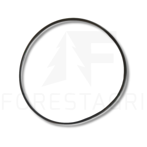 O-Ring - F009461