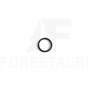 O-Ring - F021605