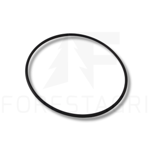 O-Ring – F030646 (Ersatzteil)