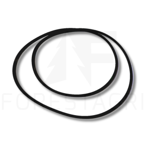 O-Ring – F035856 (Ersatzteil)