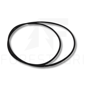 O-Ring - F061901