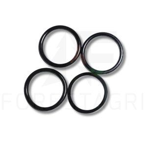 O-Ring-Kit - F065380 (F018824)