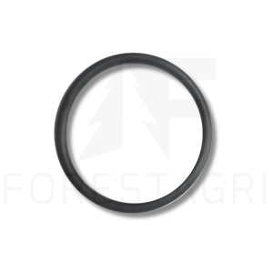 O-Ring- R123273