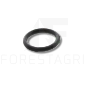O-Ring - R56462