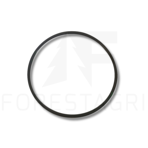 P46129 (F113853) Z.png