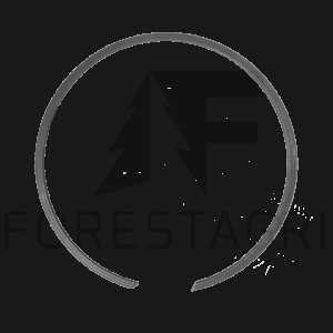 Ring - F003807