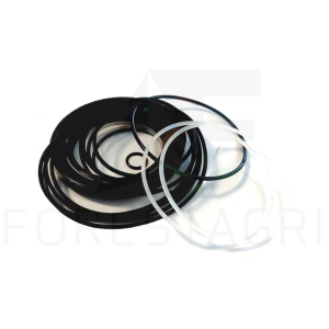 Dichtungssatz - F066618