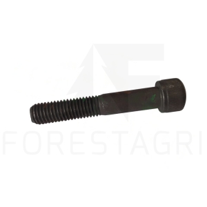Schraube – 19M9505