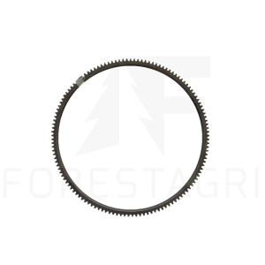 Schwungradring – R28811