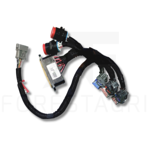 HHC 1-Modul-Kabelbaum – F670845