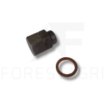 Düse - F058824