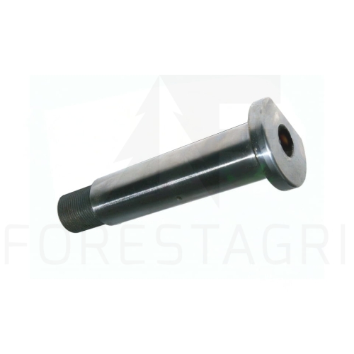 sworzeń, Čep, shaft, Stift, Kaištis - F018018