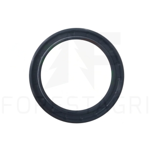 Dichtung - F060076 Z