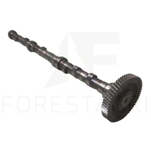 Nockenwelle Gebraucht - F041686