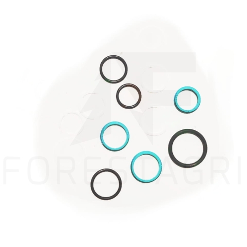 Zestaw uszczelnień - F070020