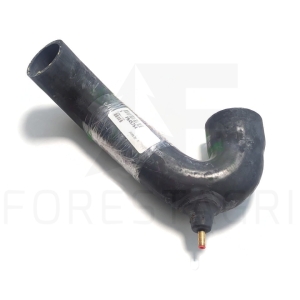 Schlange - F645754