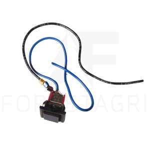 Schalter - F025501 (Gebraucht)