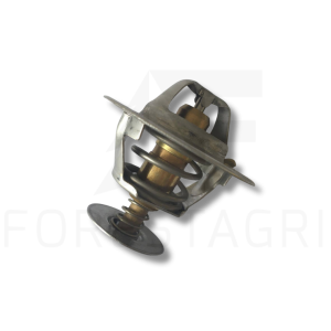 Thermostat - F003025